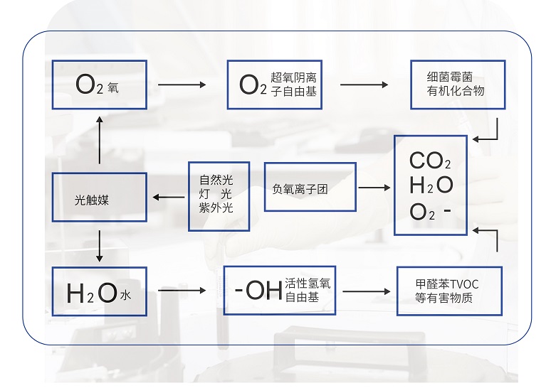 氨气治理原理